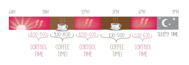 Chart showing peak cortisol times and the best times of day to drink coffee for a productivity boost